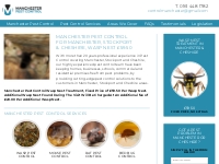 Manchester Pest Control | Wasp Nest £59.50 | Rats, Mice, Bedbugs, Flea