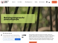 Home - Mangrove Action Project