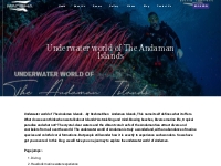 Underwater world of The Andaman Islands - Mansha Hotels