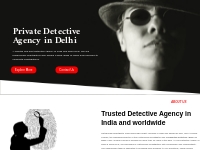 Best Detective Agency in Delhi   Delhi NCR | Best Detective Agency in 
