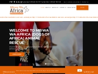 Mbwa Wa Africa Animal Rescue