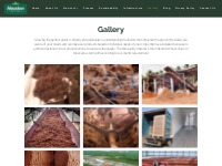 Gallery | Coco Fibre, Coco Chips, Coco Peat in India