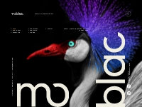 MOBLAC | Digital Marketing Agency