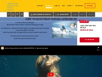Packages Surf Yoga Freediving Diving - Monkey Activities Lembongan Sur