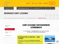 BEGINNER SURF LESSONS - Monkey Activities Lembongan Surfing Freediving