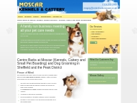 Dog boarding kennels, cattery, small animal boarding and dog grooming 