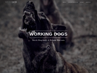 Moss K9 | Dutch Shepherd & Malinois Puppies for Sale | Breeder