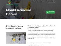 Mould Removal | Darwin Mould Remediation