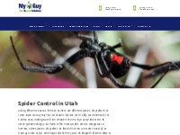 Spider Control and Removal in Utah   Cache | Pest Control