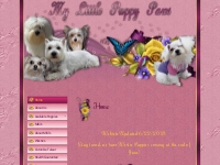 Westie Puppies for Sale, Mi-ki Puppies for sale in Michigan