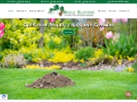 Rodent Control in Dublin, CA | Mole Busters