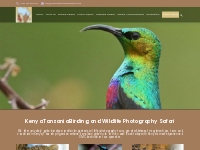Africa Birding   Wildlife Safaris | Nature Photography Tour Kenya