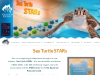 SEA TURTLE STARS | North Carolina Aquarium Society