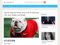 Uga the Dog Net Worth, Age, Wiki! (Updated May 2024)