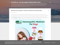 Benefits of Homeopathy in Treating Cat Diarrhea and Dog Distemper