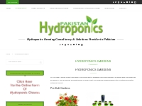 Hydroponics Gardens Archives - Pakistan Hydroponics - Hydroponics farm