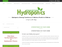 Hydroponics in Your Home Archives - Pakistan Hydroponics - Hydroponics