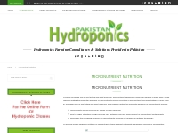 Micronutrient Nutrition Archives - Pakistan Hydroponics - Hydroponics 