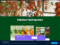 Pakistan Hydroponics