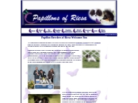 Papillon Breeders AKC and Canadian Kennel Club Champions