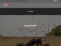 The Hunting | Bird hunting trips in Argentina | Pointer WingShooting