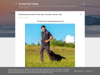 Unleashing Potential: Private Dog Training in Kansas City