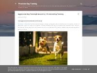 Aggressive Dog Training Kansas City - Precision Dog Training