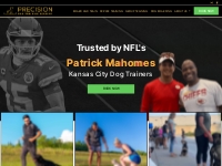 Best Dog Trainer Kansas City |  Precision Dog Training