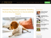 Precision Dog Training Academy: Elevating the Boarding Experience to U