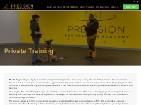 Private Training - Precision Dog Training