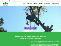 Pro Tree Professional Arborists   Pro Tree Professional Arborists