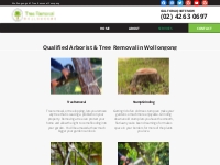 Our Tree Care Services In Wollongong | Tree Removal In Wollongong
