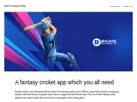 A fantasy cricket app which you all need