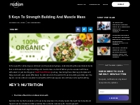5 Keys to Strength Building and Muscle Mass