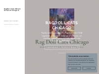 Ragdoll Cats Chicago
