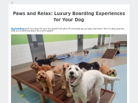 Paws and Relax: Luxury Boarding Experiences for Your Dog