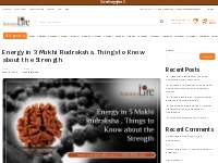 Energy in 3 Mukhi Rudraksha, Things to Know about the Strength - Rudra