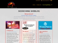 Scorching WeBlog - Web Design Ann Arbor | Scorching Web Design