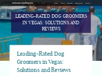 Leading-Rated Dog Groomers in Vegas: Solutions and Reviews
