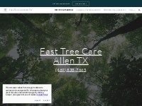 Fast Tree Care Allen TX