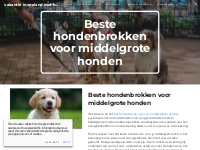 vakantie in zeeland met hond - Beste hondenbrokken voor middelgrote ho