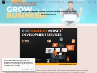 Web Panel Solutions - The Best Magento Website Development Services by