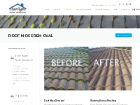 Roof Moss Removal Vancouver | Roof Cleaning Services Vancouver