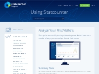 Analyze Your First Visitors | Statcounter Support