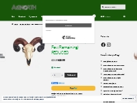 Replica Rams Skull (Last Few Remaining) REDUCED   A12North Store