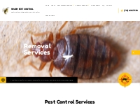 Swarm Pest Control | Pest Control Services