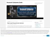  How to clean Tecumseh vector carburetor | Tecumseh Carburetor Guide