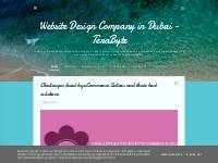 Website Design Company in Dubai - TeraByte