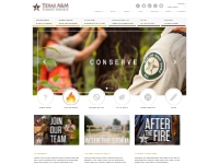   	      Texas A M Forest Service Home Page