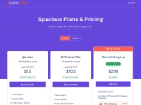 Spacious Pricing: Various Plans for Individuals to Agencies